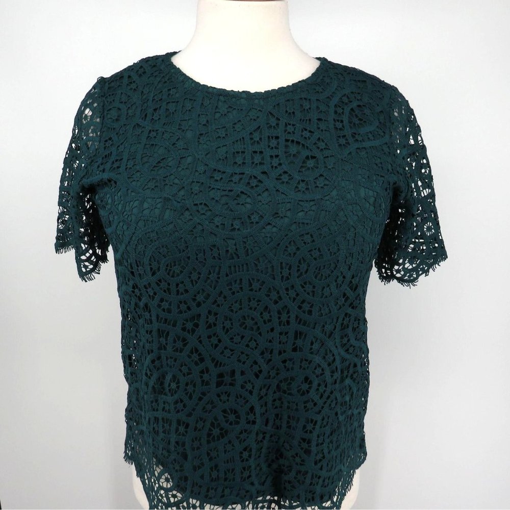 Philosophy Womens Lace Lined Top Shirt Large NWT $78